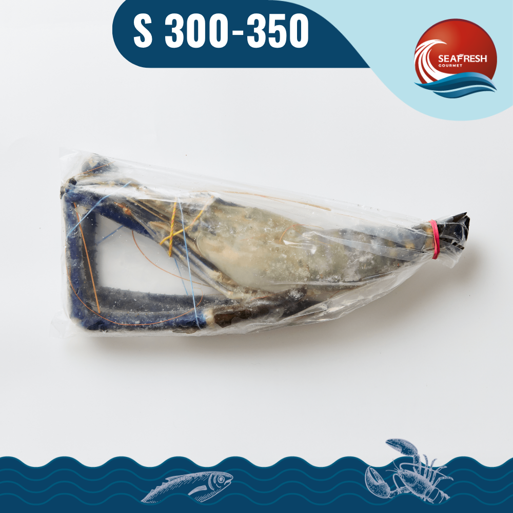 กุ้งแม่น้ำแช่แข็ง (Frozen Fresh Water Prawn) 300-350 G