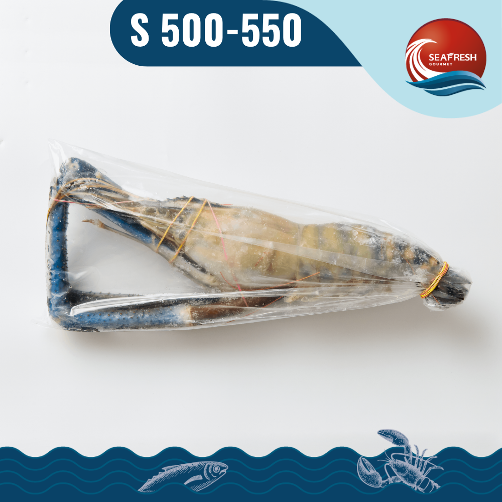 กุ้งแม่น้ำแช่แข็ง (Frozen Fresh Water Prawn) 500-550 G